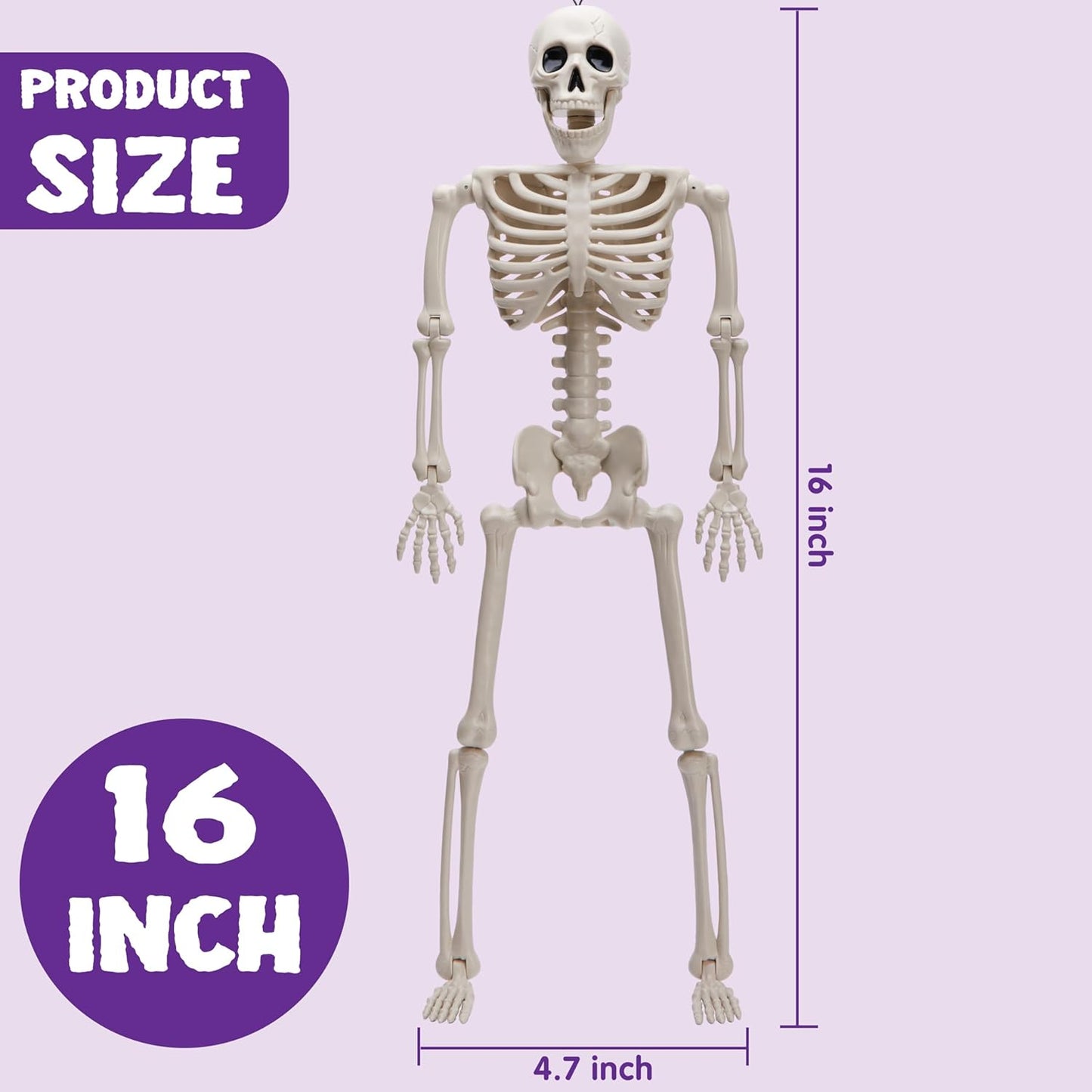 Halloween Skeleton