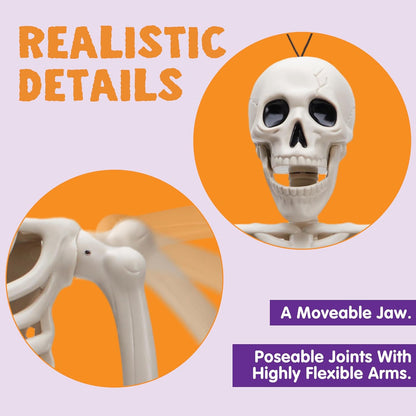 Halloween Skeleton