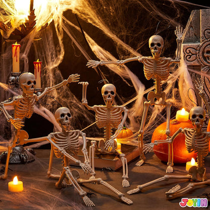 Halloween Skeleton